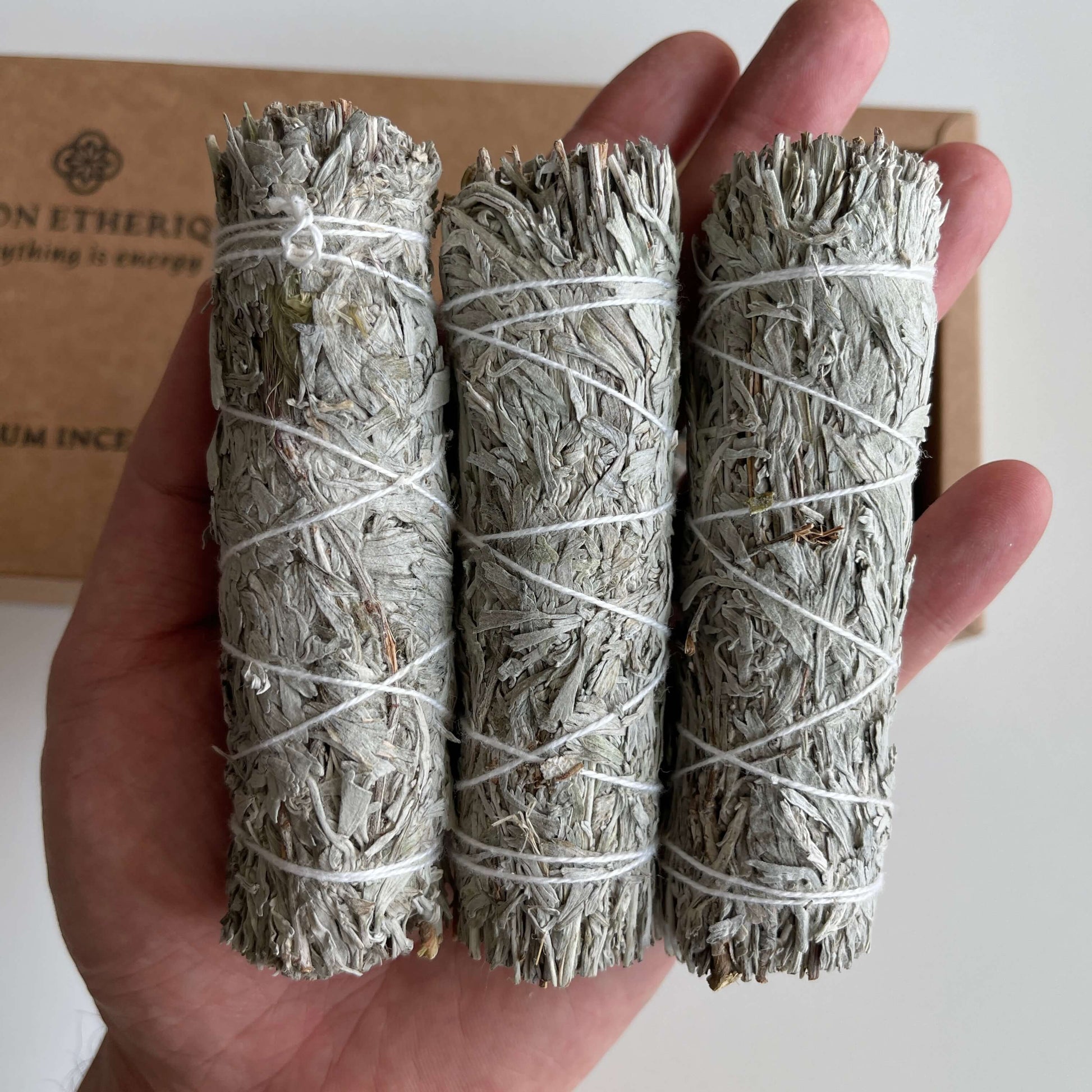 3 Blue sage smudge sticks 4 Inch in Hands