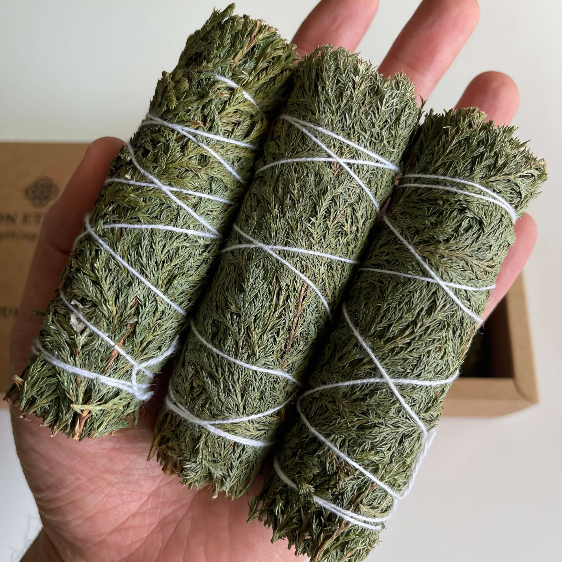 3 Smudge Sticks of Cedar 4 Inch in Hands