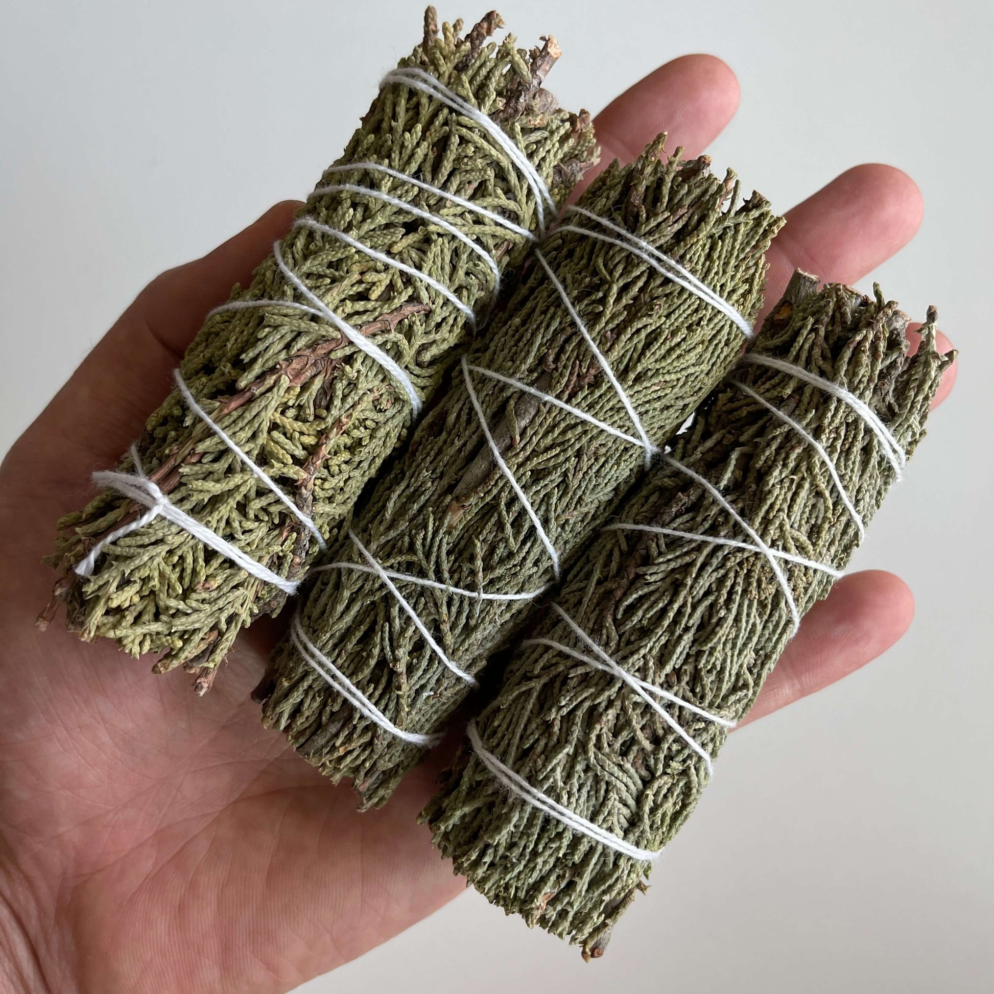 3 Smudge Sticks of Juniper 4 Inch in Hands